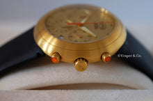 Load image into Gallery viewer, Ikepod Isopode